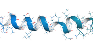 Un treno chiamato Peptide